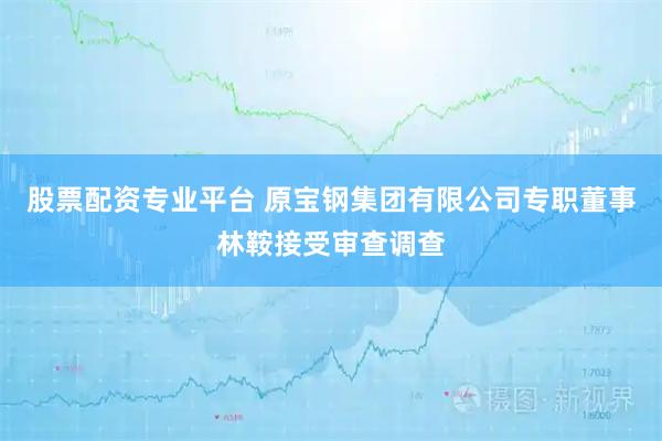 股票配资专业平台 原宝钢集团有限公司专职董事林鞍接受审查调查