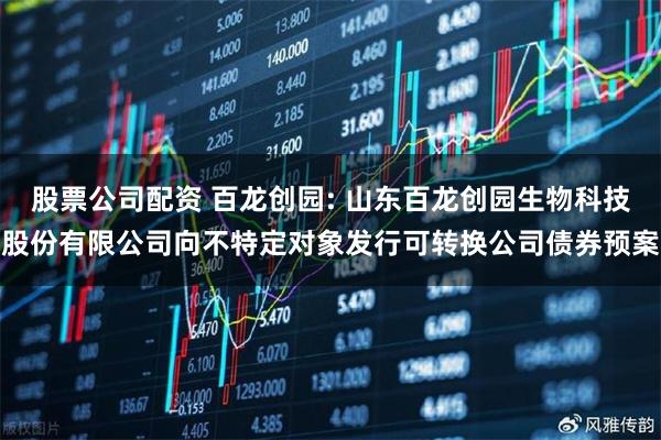 股票公司配资 百龙创园: 山东百龙创园生物科技股份有限公司向不特定对象发行可转换公司债券预案